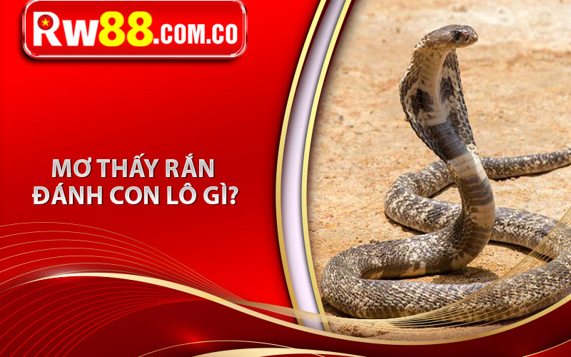 Mơ Thấy Rắn Đánh Con Gì? Giải mã Giấc Mơ Thấy Rắn 6 Mơ thấy rắn đánh con lô gì?
